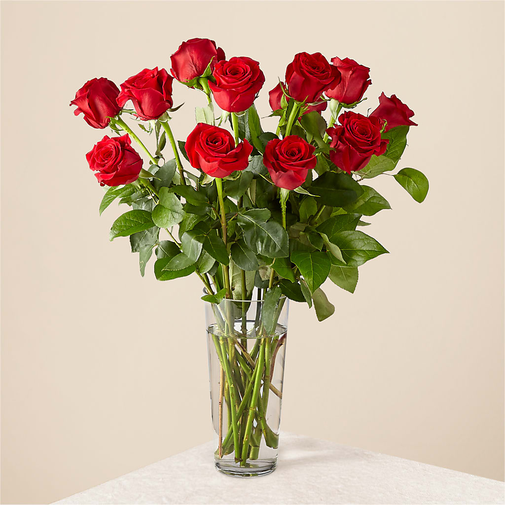 Long Stem Red Rose Bouquet – True Blooms, Winters CA