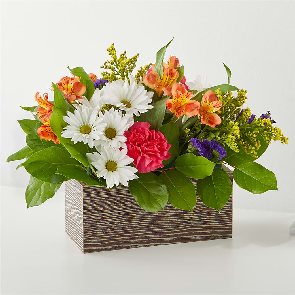 Oopsie Daisy Box Bouquet – True Blooms, Winters CA