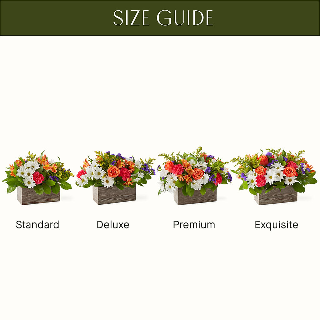 Oopsie Daisy Box Bouquet – True Blooms, Winters CA