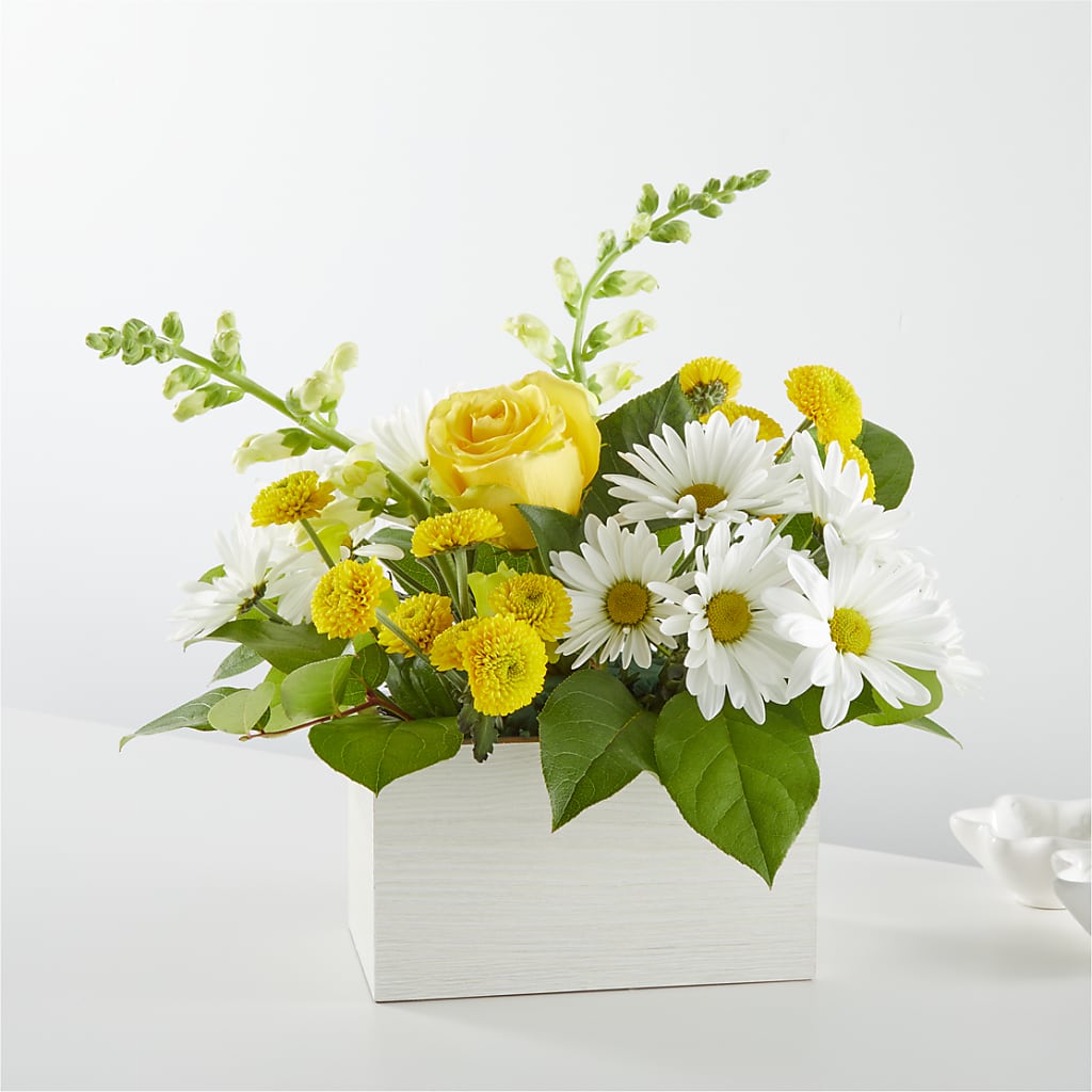 Sun Salutation Box Bouquet – True Blooms, Winters CA