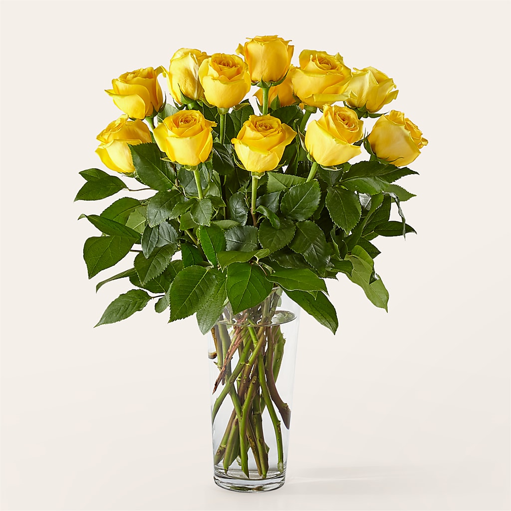 Long Stem Yellow Rose Bouquet – True Blooms, Winters CA