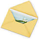 Greeting Card – True Blooms, Winters CA