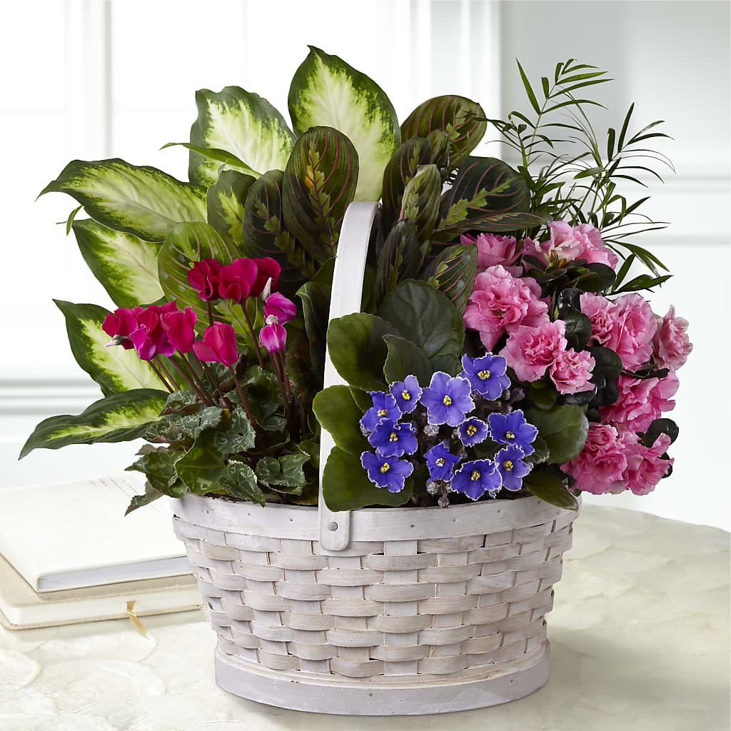 Peaceful Garden Planter – True Blooms, Winters CA
