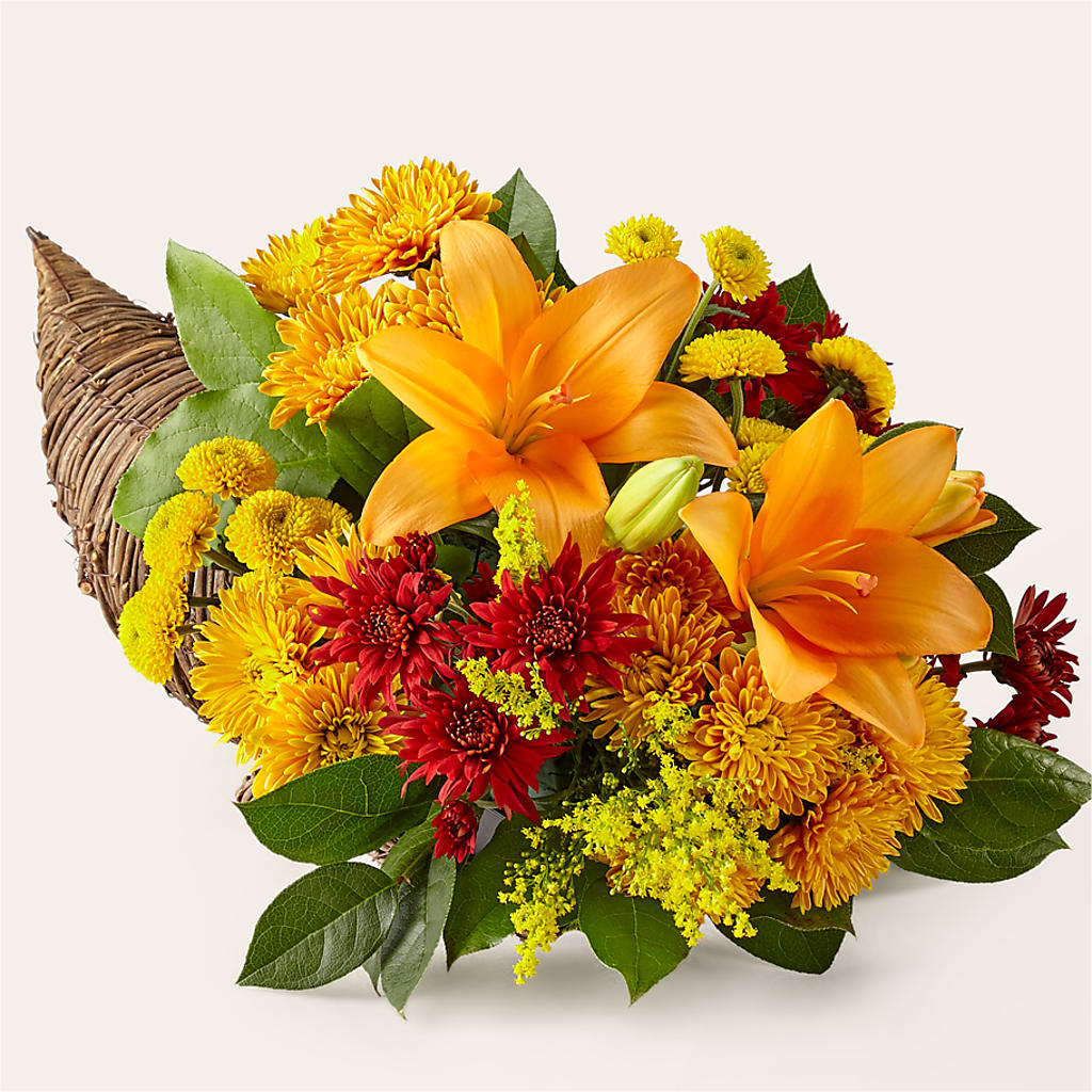 Feast of Color Cornucopia – True Blooms, Winters CA