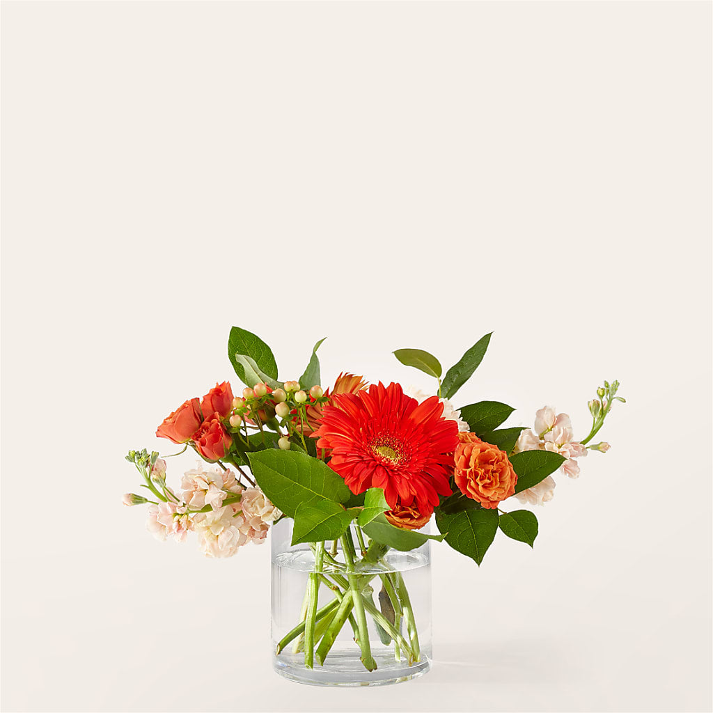 Paloma Please Bouquet – True Blooms, Winters CA
