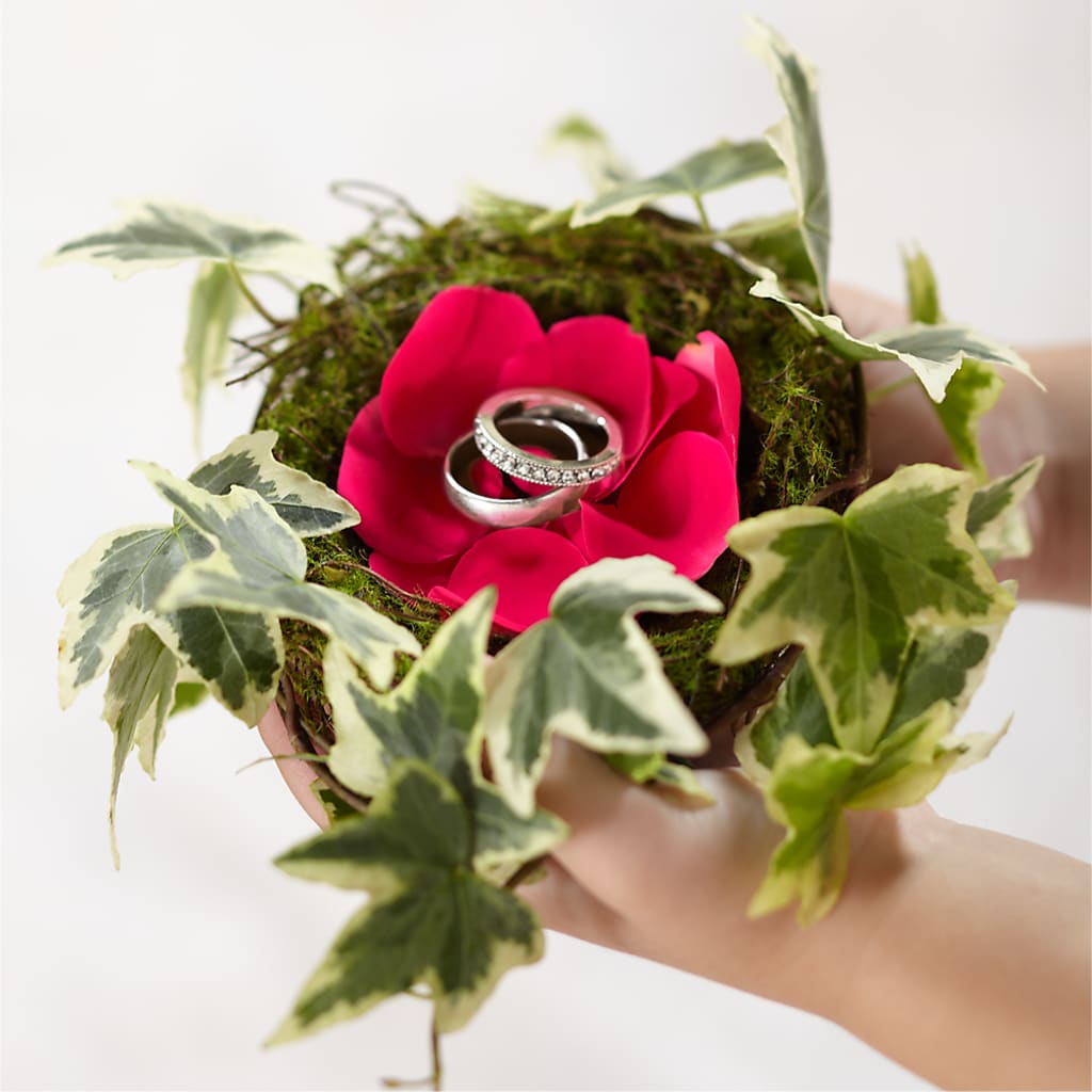 Lila Rose Ring Nest – True Blooms, Winters CA