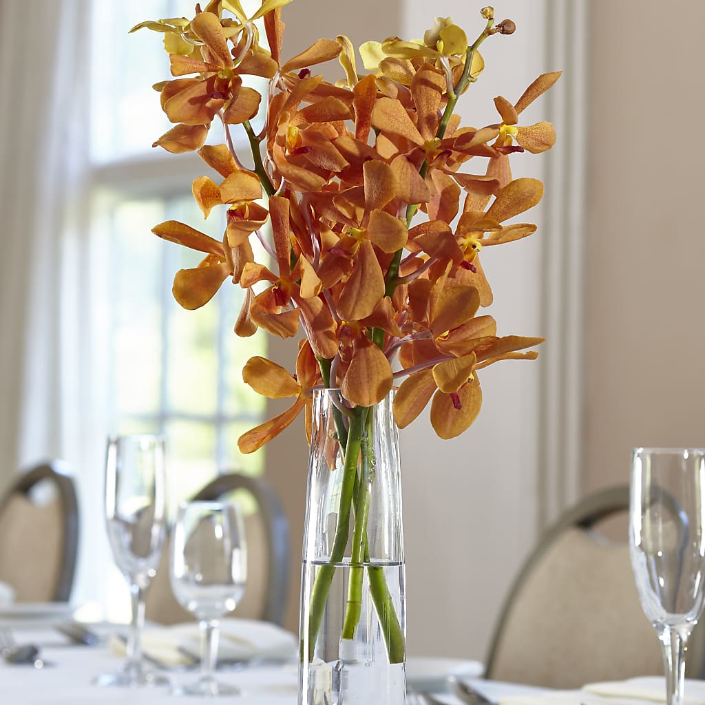 Orange Mokara Bud Vase – True Blooms, Winters CA