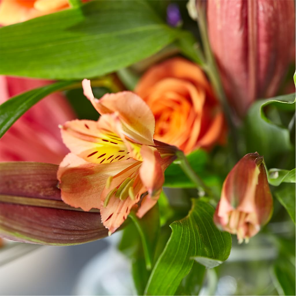 Bold & Bright – A Florist Original –  True Blooms, Winters CA