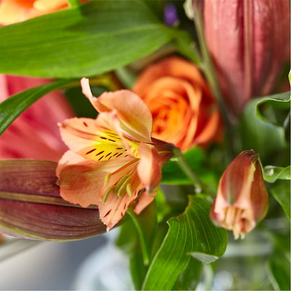 Bold & Bright – A Florist Original –  True Blooms, Winters CA