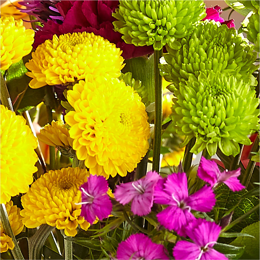 Bold & Bright – A Florist Original –  True Blooms, Winters CA