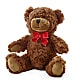 Adorable Plush Bear –  True Blooms, Winters CA