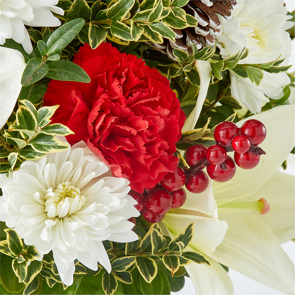 Festive Moments Tree –  True Blooms, Winters CA