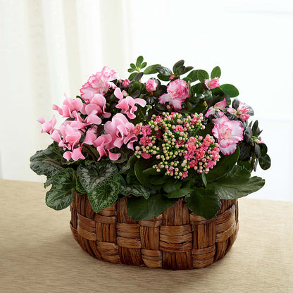 Pink Assortment –  True Blooms, Winters CA