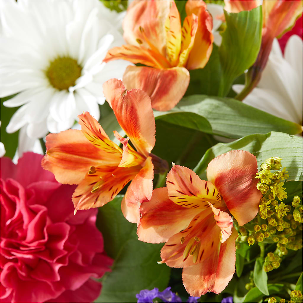Oopsie Daisy Box Bouquet –  True Blooms, Winters CA