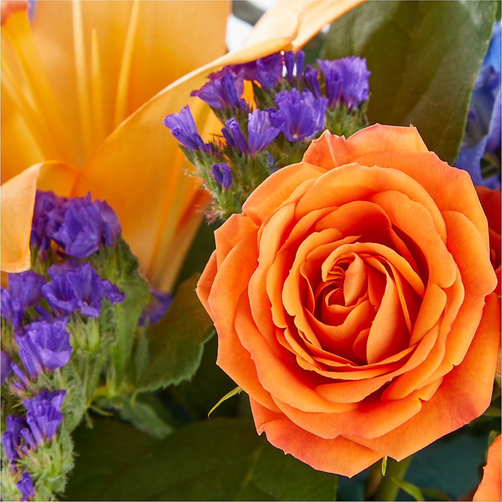 Radiant Citrus Box Bouquet –  True Blooms, Winters CA