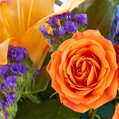 Radiant Citrus Box Bouquet –  True Blooms, Winters CA