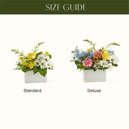 Sun Salutation Box Bouquet –  True Blooms, Winters CA