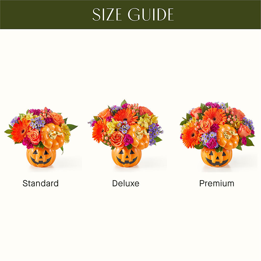 Tricks & Treats Pumpkin –  True Blooms, Winters CA