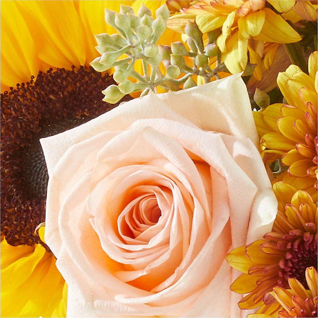 Pumpkin to Talk About Bouquet –  True Blooms, Winters CA