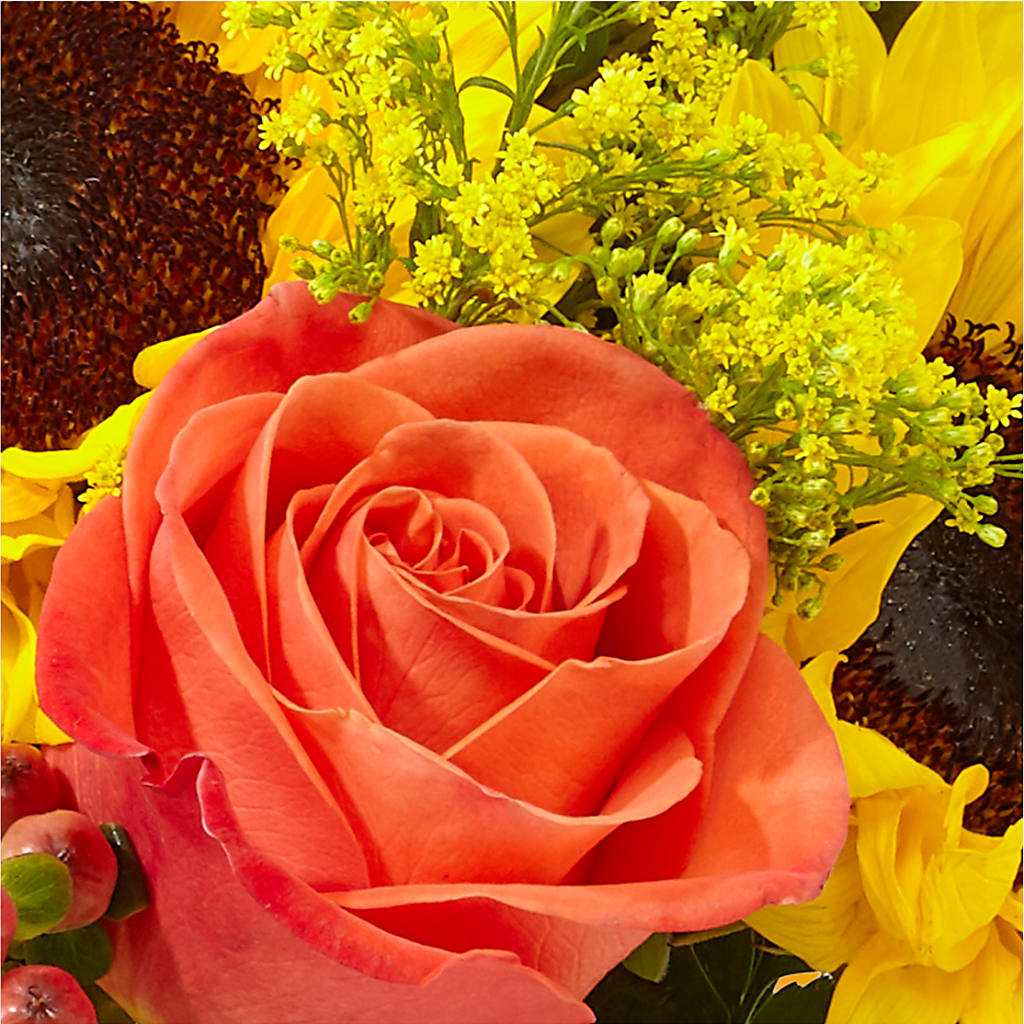 Pick of the Patch Pumpkin Bouquet –  True Blooms, Winters CA