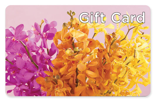 Gift Card –  True Blooms, Winters CA