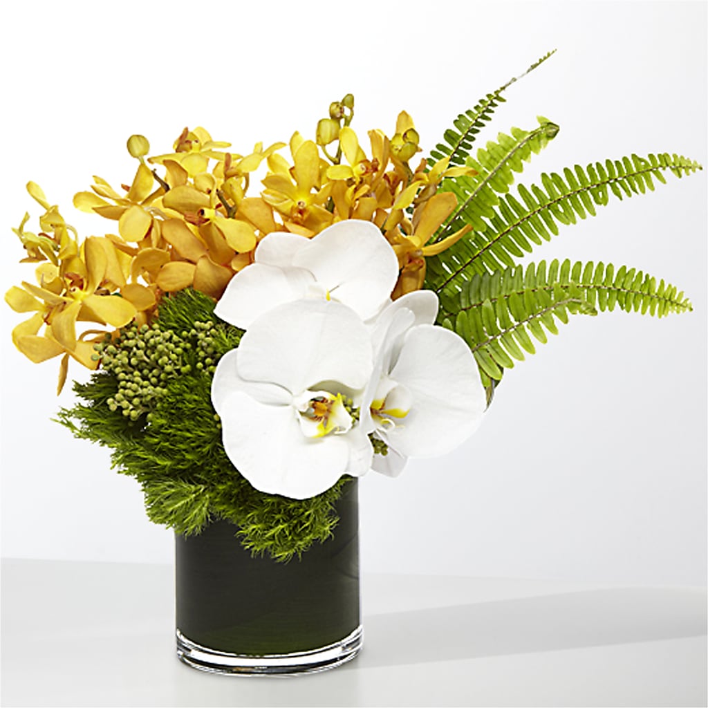 The Tropics –  True Blooms, Winters CA