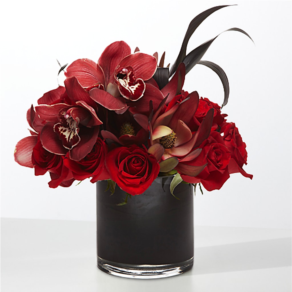 The Eclipse –  True Blooms, Winters CA