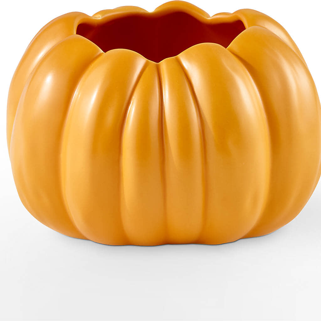 Golden Gourd Pumpkin Bouquet –  True Blooms, Winters CA