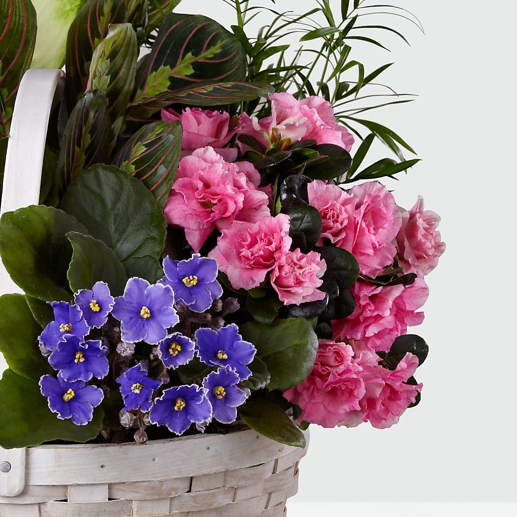 Peaceful Garden Planter –  True Blooms, Winters CA