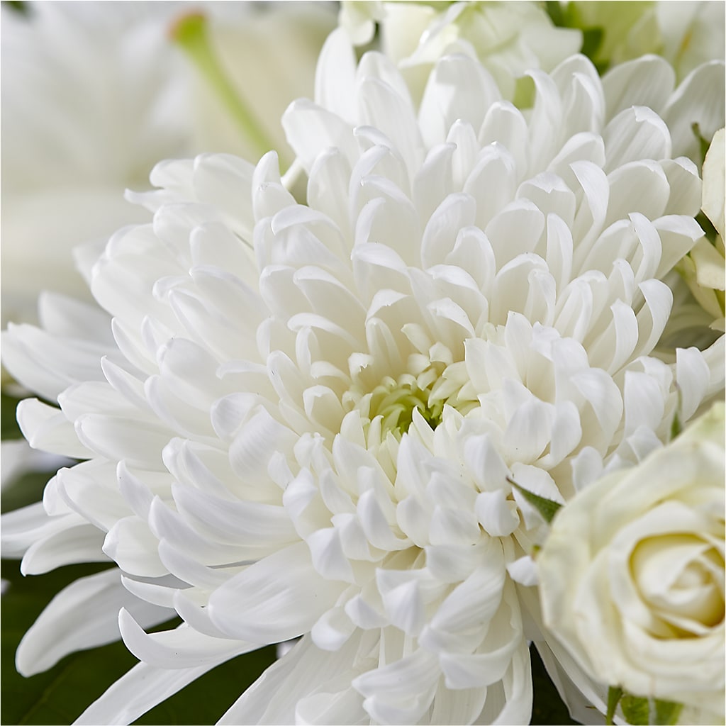 Classic Ivory – A Florist Original –  True Blooms, Winters CA