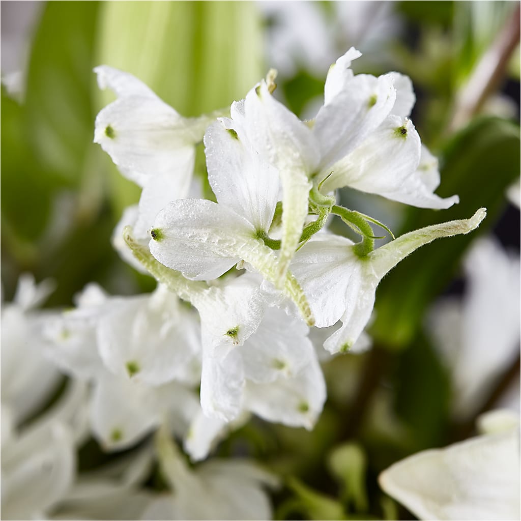Classic Ivory – A Florist Original –  True Blooms, Winters CA