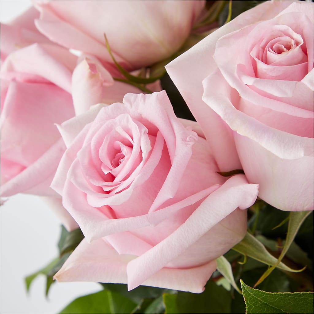 Picture Perfect Pink Rose Bouquet –  True Blooms, Winters CA