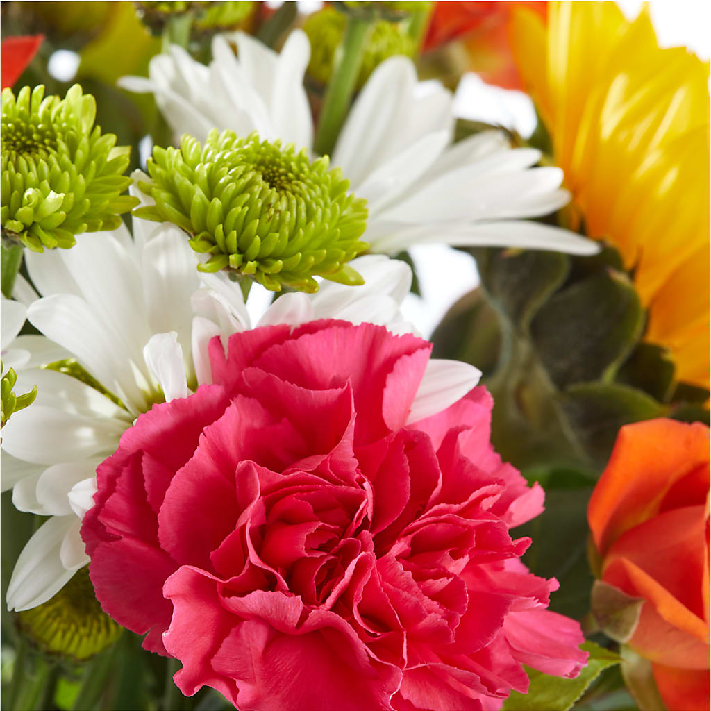 Sun-drenched Blooms Bouquet –  True Blooms, Winters CA
