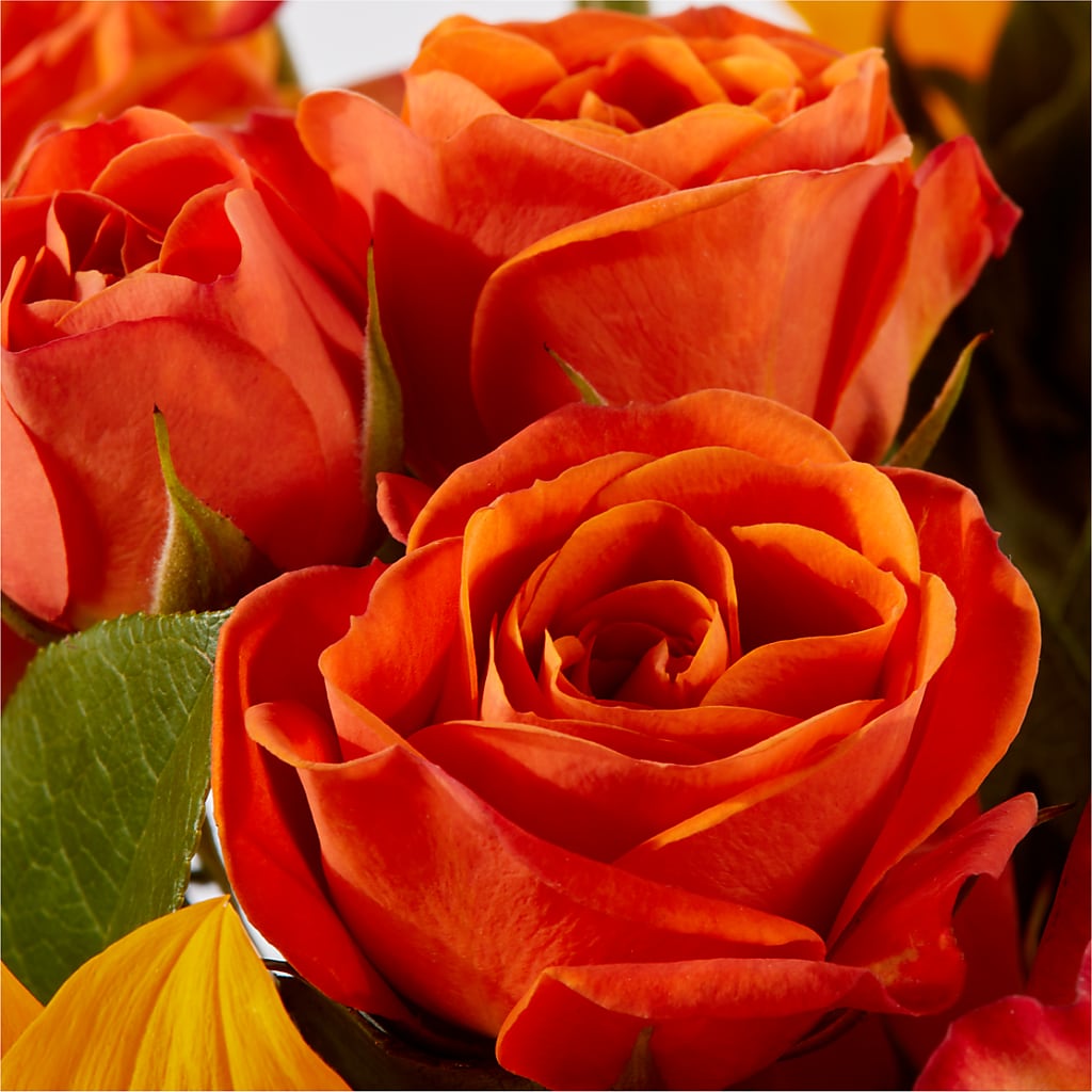Picnic in the Park Bouquet –  True Blooms, Winters CA