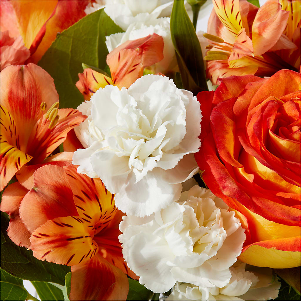 Apricot Glow Bouquet –  True Blooms, Winters CA