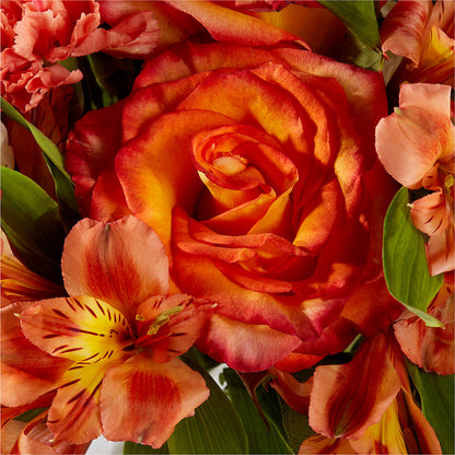 Apricot Glow Bouquet –  True Blooms, Winters CA