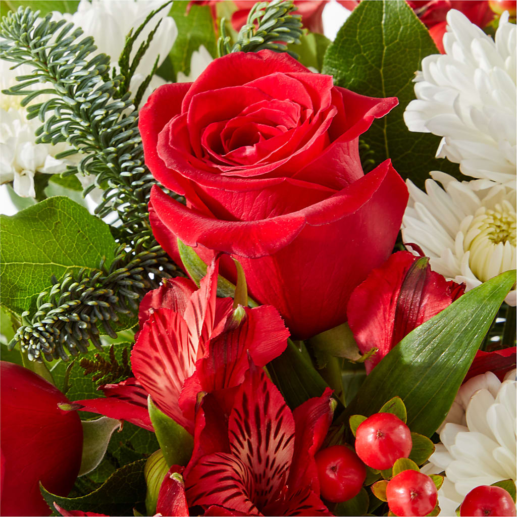 Letters to Santa Bouquet –  True Blooms, Winters CA