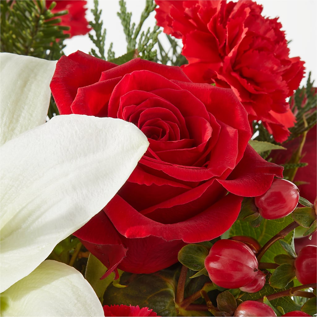 Oh So Jolly Bouquet –  True Blooms, Winters CA