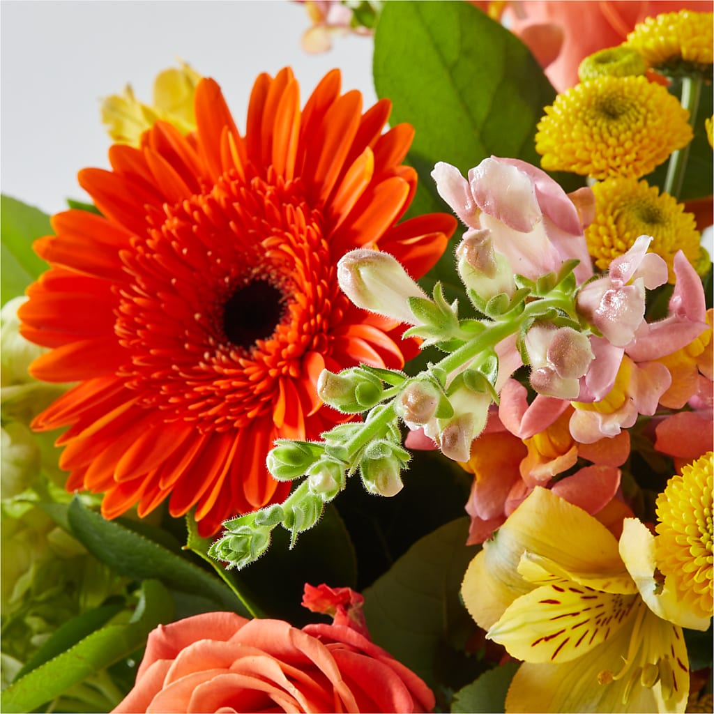 Autumn Sunshine Bouquet –  True Blooms, Winters CA