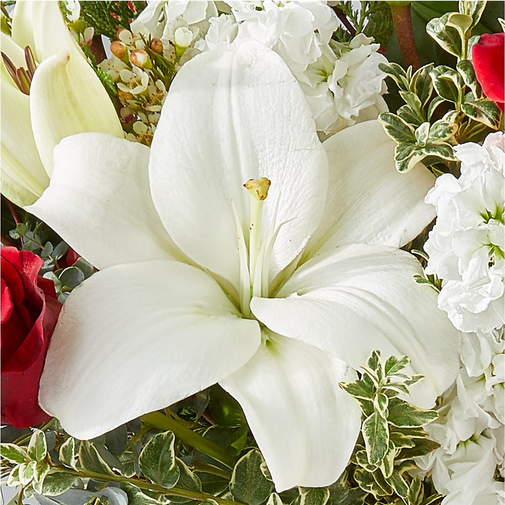 Twinkle Lights Bouquet –  True Blooms, Winters CA