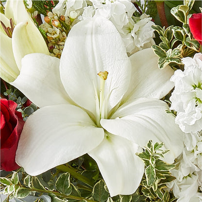 Twinkle Lights Bouquet –  True Blooms, Winters CA