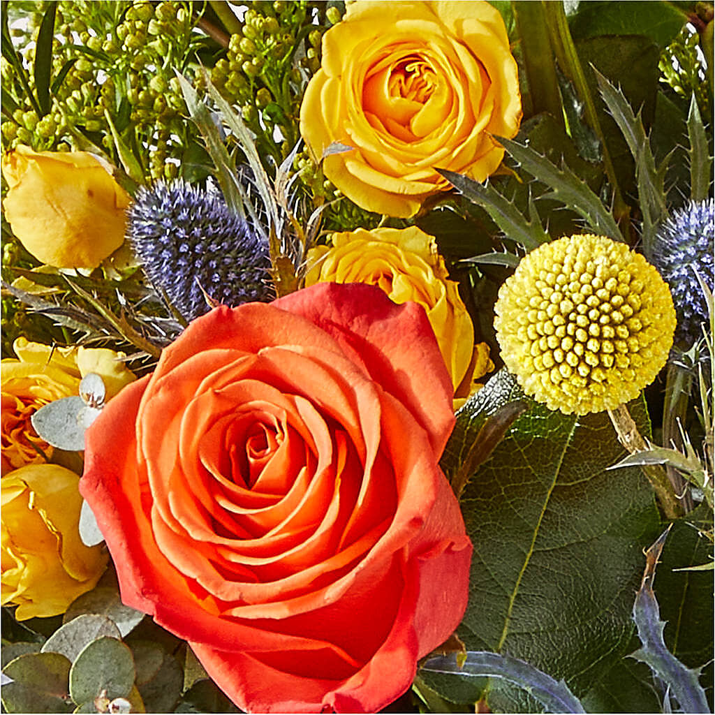 Disco Bouquet –  True Blooms, Winters CA
