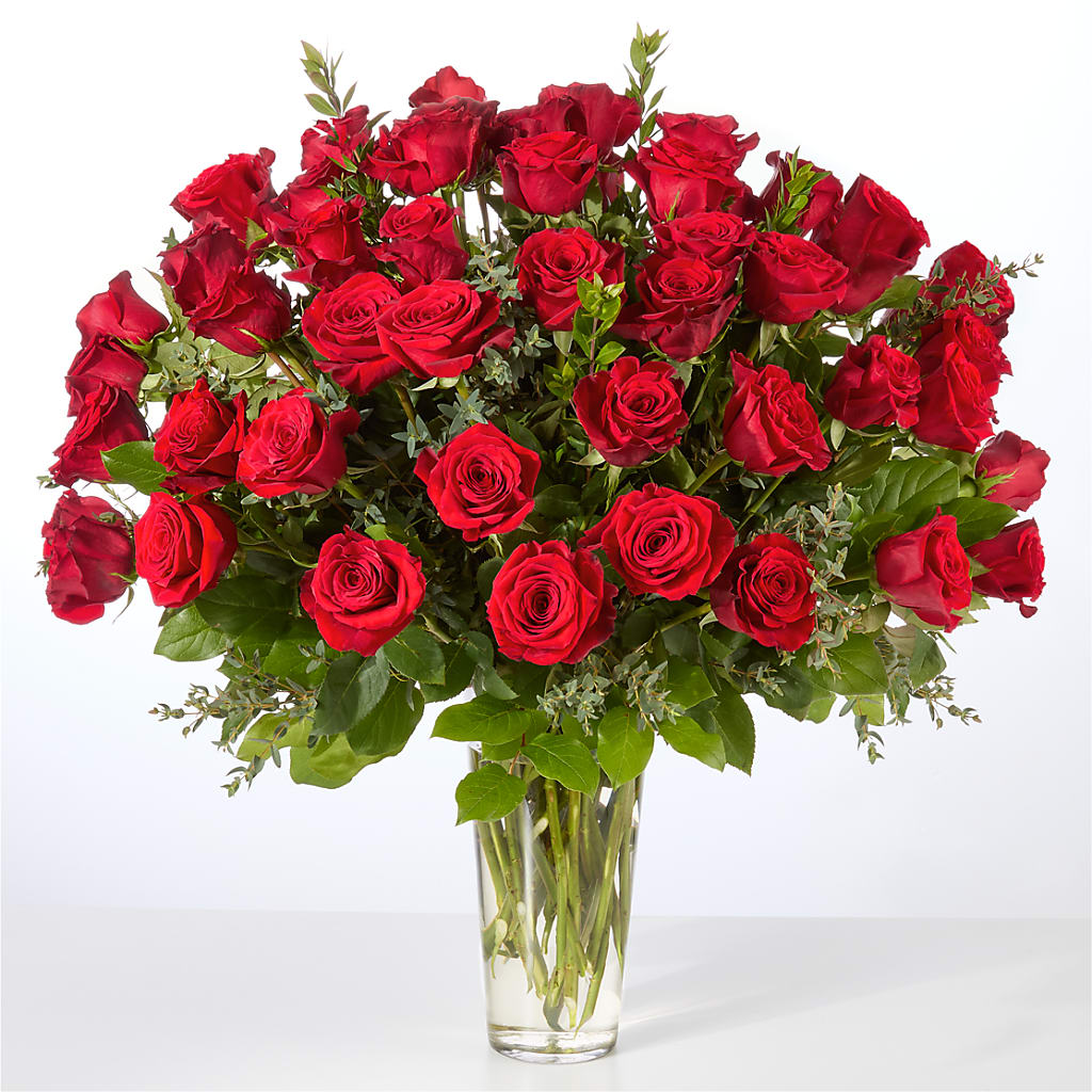 Forever Yours Fifty Stem Red Rose Bouquet –  True Blooms, Winters CA