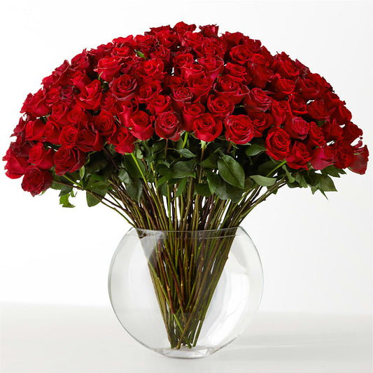 The Idealist –  True Blooms, Winters CA