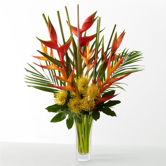 The Drama –  True Blooms, Winters CA