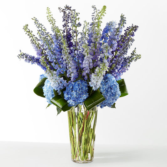The Editorial –  True Blooms, Winters CA