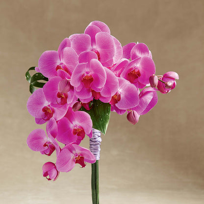 Glorious Bouquet –  True Blooms, Winters CA