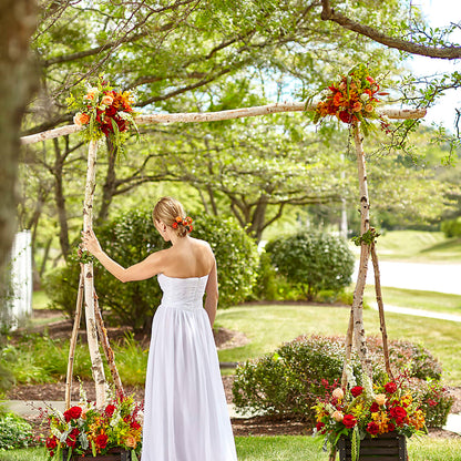 Arbor of Love Archway –  True Blooms, Winters CA