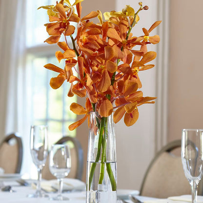 Orange Mokara Bud Vase –  True Blooms, Winters CA