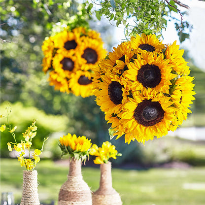 Sublime Garden Hanging Arrangement –  True Blooms, Winters CA